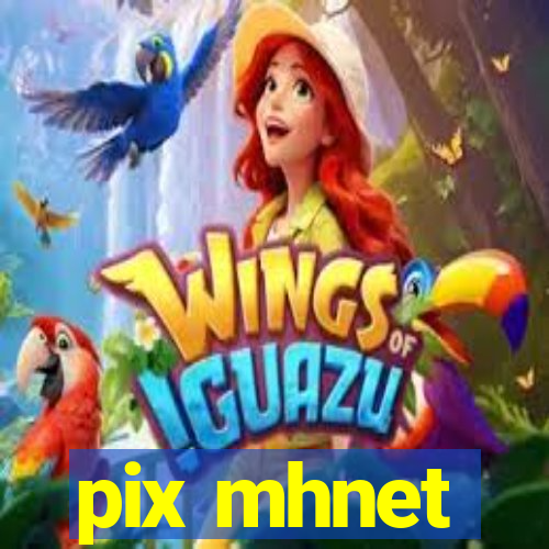 pix mhnet